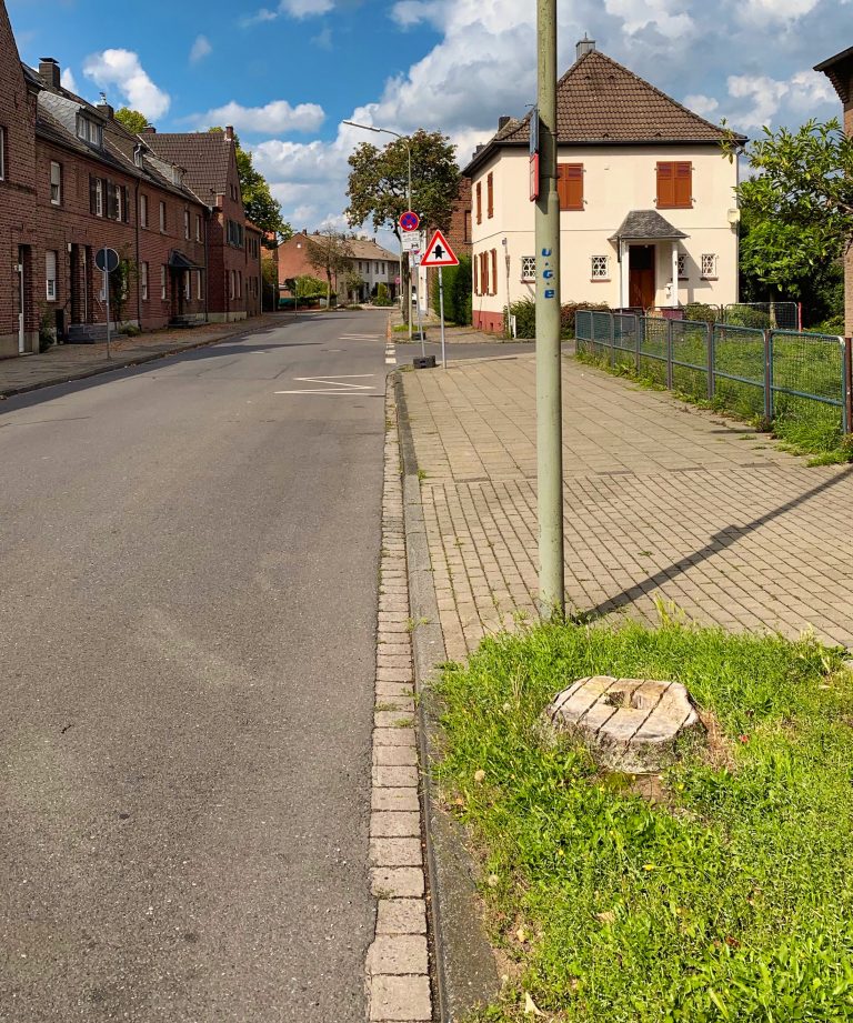 Wo sind die Bäume?
