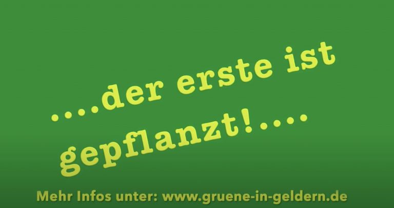 35000 Bäume – der erste ist gepflanzt!